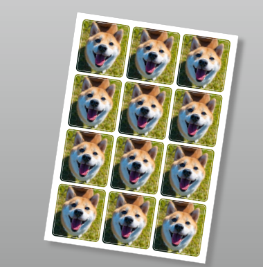 011.png